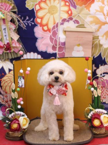 20240117リコちゃん